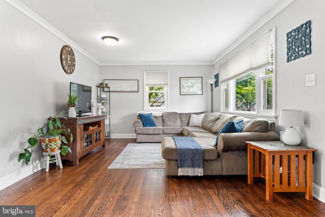 101 Ash Rd, Wallingford, PA 19086 - living room with wood finished floors and crown molding