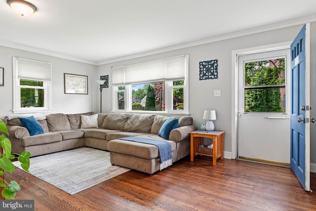 101 Ash Rd, Wallingford, PA 19086 - living room with ornamental molding and wood finished floors