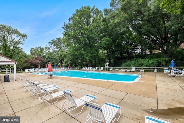 5606 Bismach Dr Unit 104, Alexandria, VA 22312 - community pool with a patio and view of wooded area