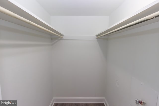 10040 Jeanes St, Philadelphia, PA 19116 - walk in closet with wood finished floors