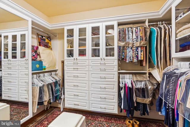 9858 Palace Green Way, Vienna, VA 22181 - view of walk in closet