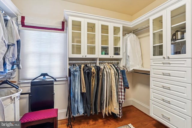 9858 Palace Green Way, Vienna, VA 22181 - spacious closet with wood finished floors