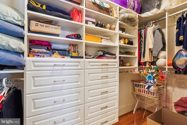 9858 Palace Green Way, Vienna, VA 22181 - walk in closet with wood finished floors