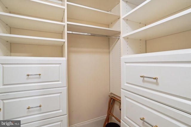 9858 Palace Green Way, Vienna, VA 22181 - view of walk in closet