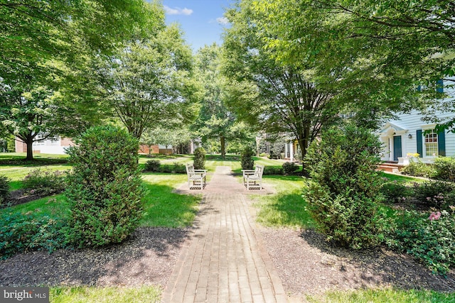 9858 Palace Green Way, Vienna, VA 22181 - view of property's community featuring a yard