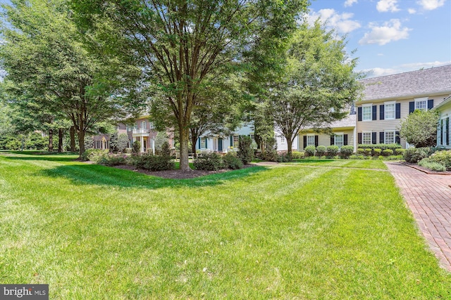 9858 Palace Green Way, Vienna, VA 22181 - view of grassy yard