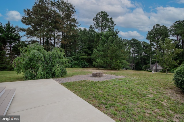 26294 Evesboro Ln, Eden, MD 21822 - view of green lawn featuring a fire pit, a patio area, and view of wooded area