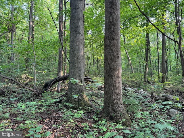 5.5/-ACRES Mountain Green Rd, Willow Hill, PA 17271