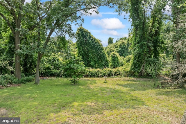 94 E Oak Ave, Lawnside, NJ 08045 - view of green lawn