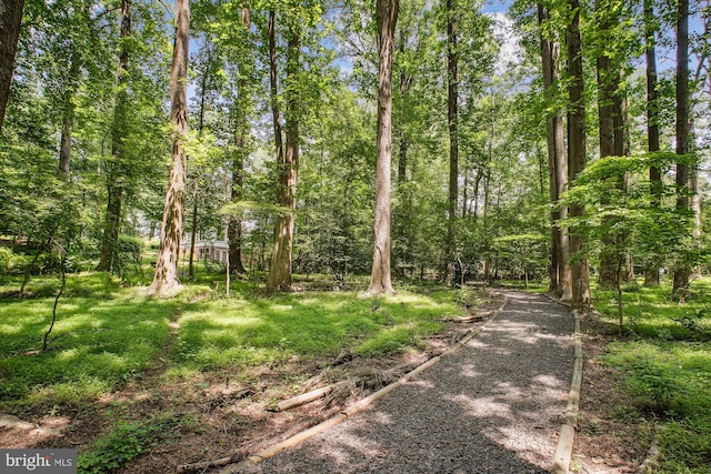 3010 Phyllmar Pl, Oakton, VA 22124 - view of street