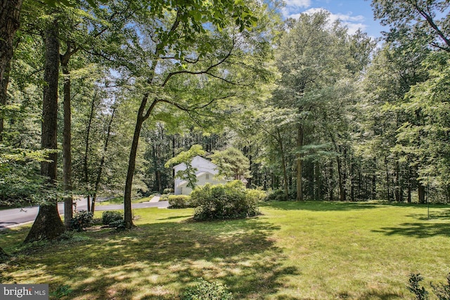 3010 Phyllmar Pl, Oakton, VA 22124 - view of green lawn with a wooded view