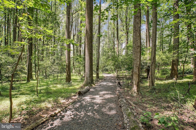 3010 Phyllmar Pl, Oakton, VA 22124 - view of street featuring a view of trees