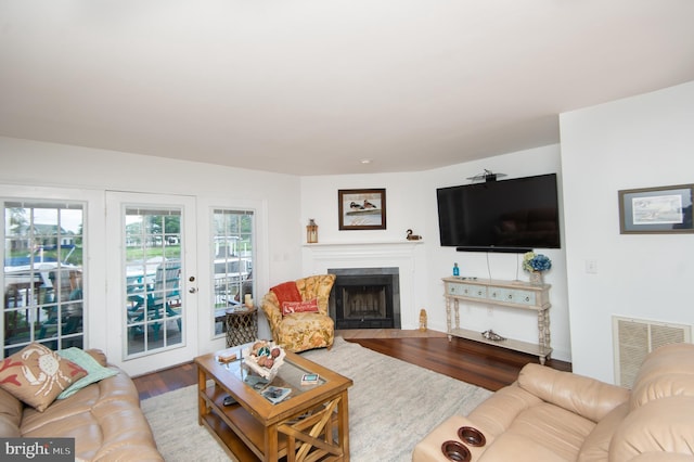 101 Main St Unit 115, Secretary, MD 21664 - living room featuring wood finished floors and a fireplace with flush hearth