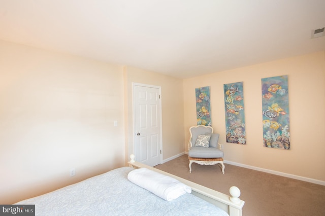 101 Main St Unit 115, Secretary, MD 21664 - bedroom with carpet floors and baseboards