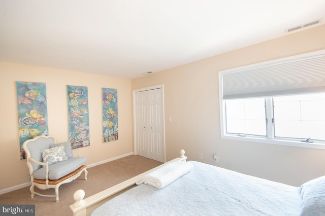 101 Main St Unit 115, Secretary, MD 21664 - bedroom featuring carpet and a closet