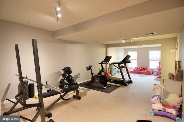 3166 Freestone Ct, Abingdon, MD 21009 - exercise room with carpet flooring and track lighting