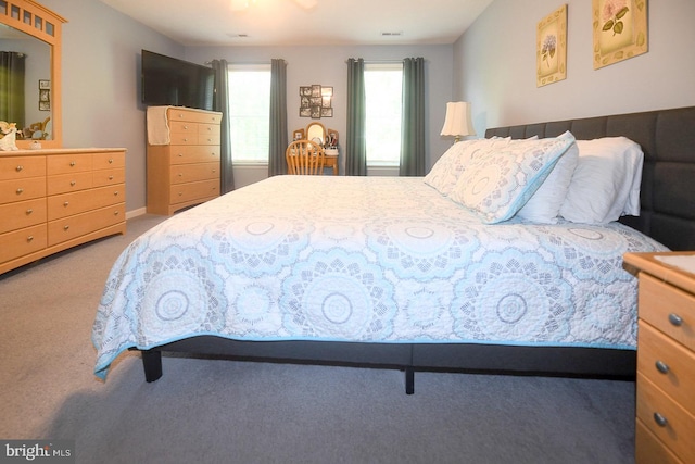21481 Indian Bridge Rd, California, MD 20619 - view of carpeted bedroom