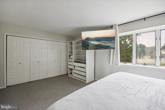 29 Twin Brooks Dr, Willow Grove, PA 19090 - carpeted bedroom featuring a closet