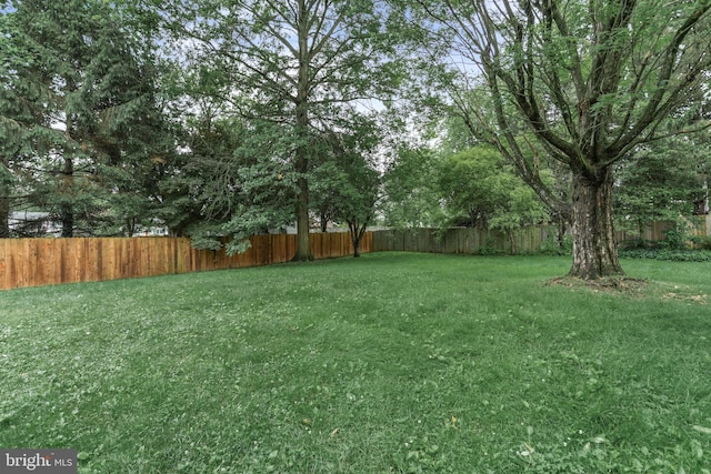 708 S Broad St, Mechanicsburg, PA 17055 - view of fenced backyard