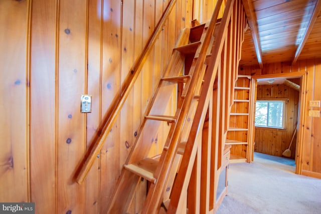 121 E James St, Winchester, VA 22601 - staircase featuring wooden walls, wood ceiling, and carpet floors