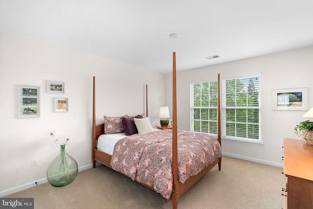 36453 Dwyer Ct, Round Hill, VA 20141 - bedroom featuring light carpet