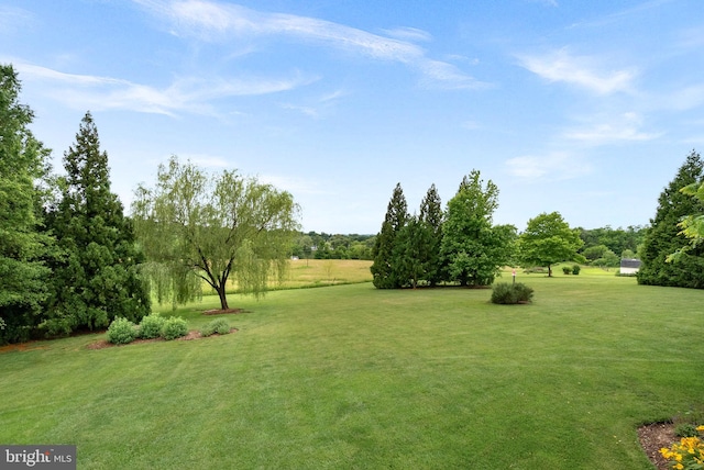 36453 Dwyer Ct, Round Hill, VA 20141 - view of green lawn with view of scattered trees