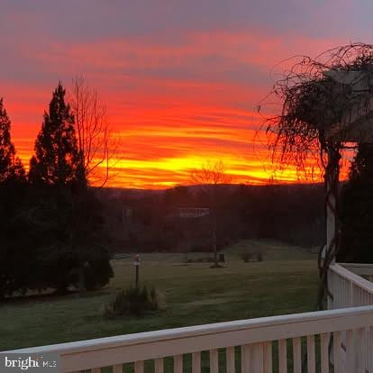 36453 Dwyer Ct, Round Hill, VA 20141 - view of yard at dusk
