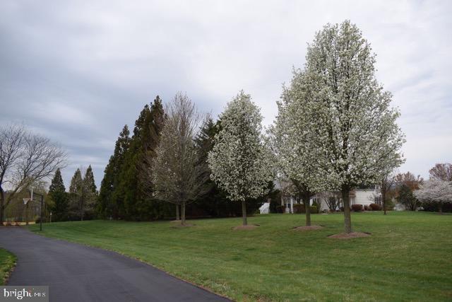 36453 Dwyer Ct, Round Hill, VA 20141 - view of asphalt road