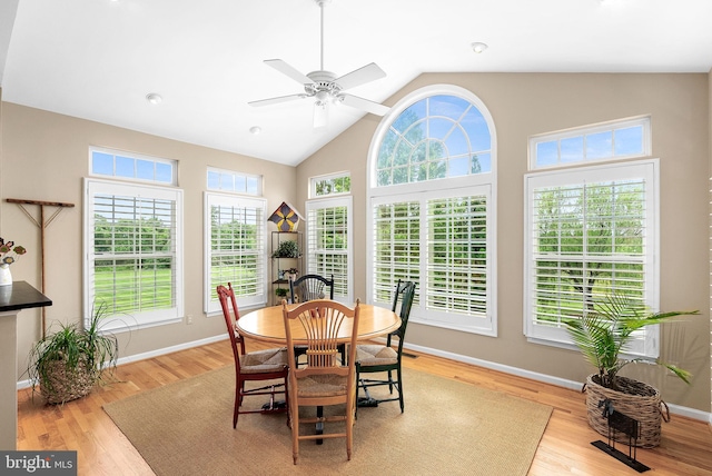 36453 Dwyer Ct, Round Hill, VA 20141 - dining room with healthy amount of natural light, vaulted ceiling, ceiling fan, and wood finished floors