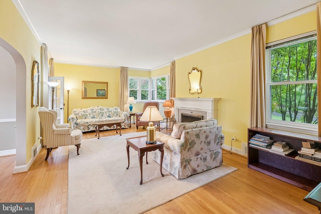 3917 Fessenden St NW, Washington, DC 20016 - living room with ornamental molding, wood finished floors, arched walkways, and a fireplace