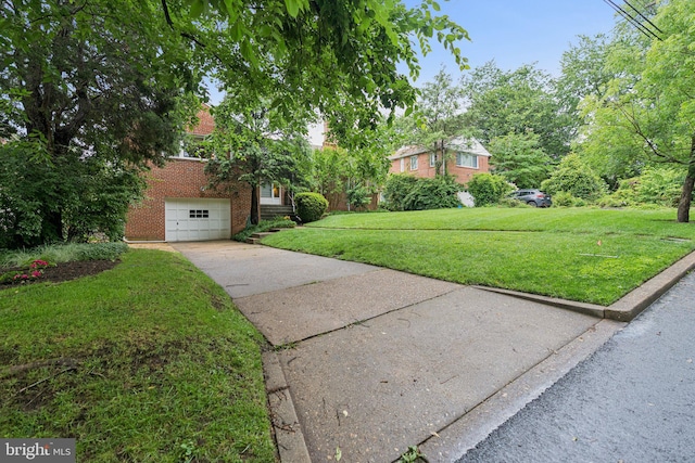 3917 Fessenden St NW, Washington, DC 20016 - view of grassy yard with driveway