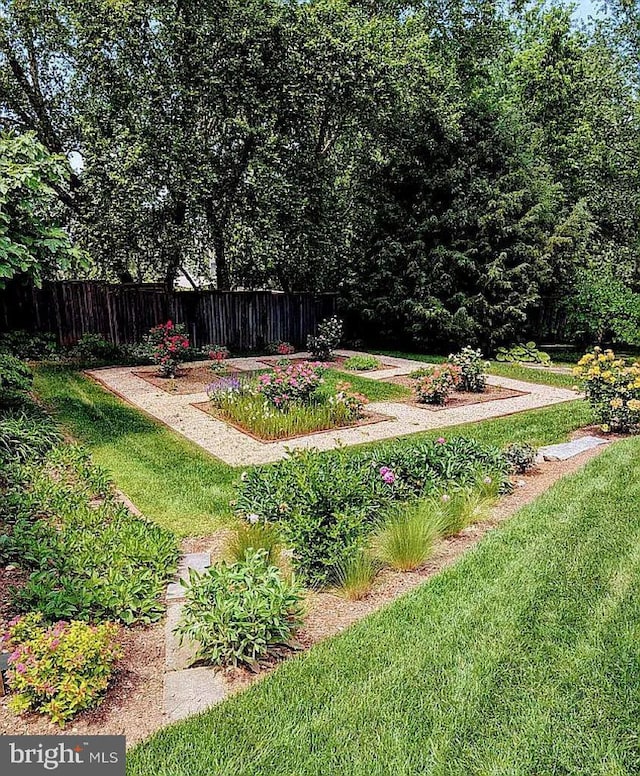 3917 Fessenden St NW, Washington, DC 20016 - view of yard