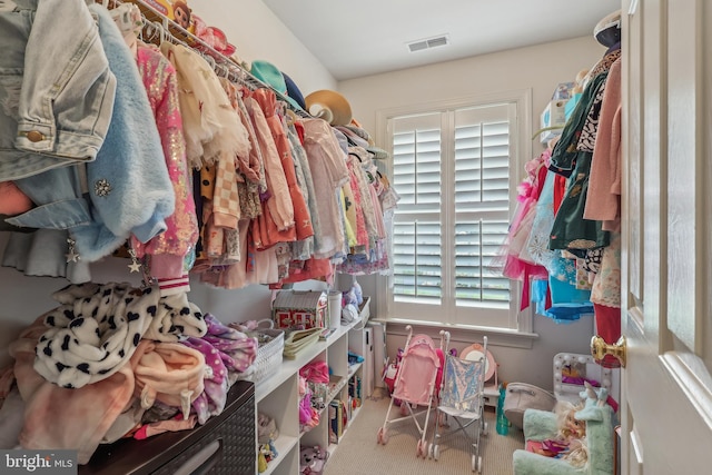 10 Callery Way, Malvern, PA 19355 - spacious closet with carpet flooring