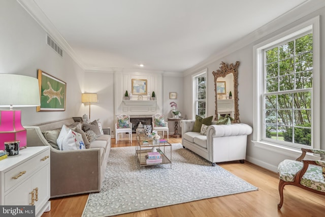 10 Callery Way, Malvern, PA 19355 - living room featuring ornamental molding, healthy amount of natural light, light wood finished floors, and a large fireplace
