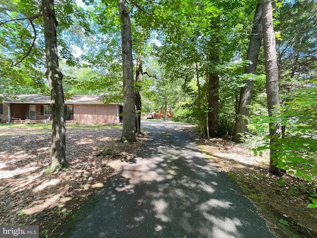 14102 Gibbons Church Rd, Brandywine, MD 20613 - view of asphalt driveway
