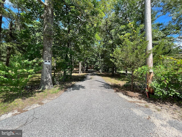 14102 Gibbons Church Rd, Brandywine, MD 20613 - view of asphalt driveway