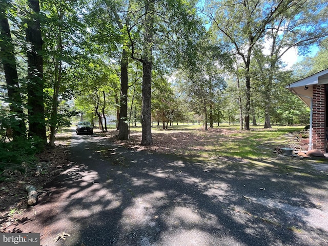 14102 Gibbons Church Rd, Brandywine, MD 20613 - view of yard featuring asphalt driveway