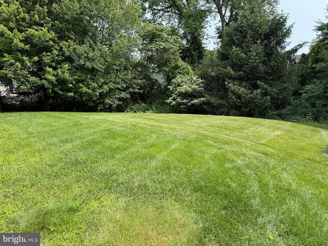 4509 Rhett Ln, Fairfax, VA 22030 - view of green lawn