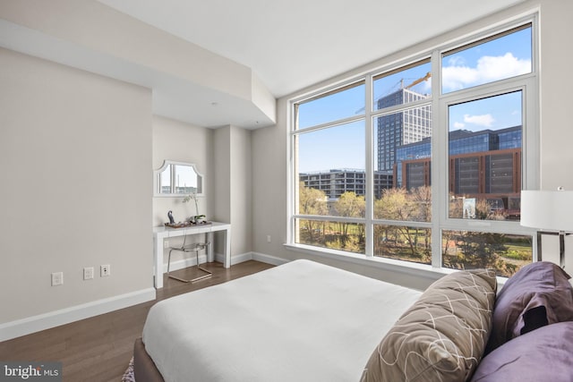1330 Lancaster St Unit C601, Baltimore, MD 21231 - bedroom featuring dark wood-style flooring, multiple windows, and a city view