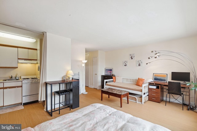 2101 Chestnut St Unit 909, Philadelphia, PA 19103 - bedroom featuring light wood finished floors