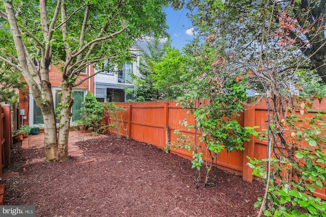 423 5th St SE, Washington, DC 20003 - view of fenced backyard
