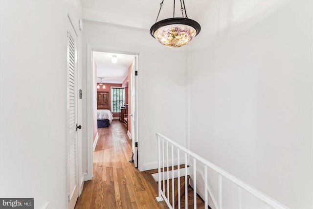 423 5th St SE, Washington, DC 20003 - hall with light wood-style flooring and an upstairs landing