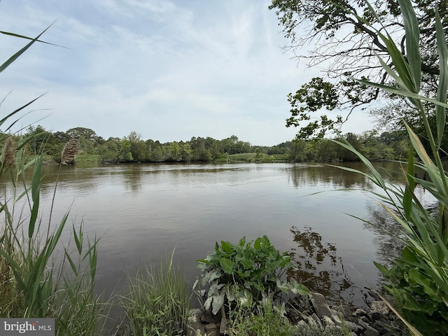 2 Schooner Landing Rd, Millville, NJ 08332 - water view featuring a forest