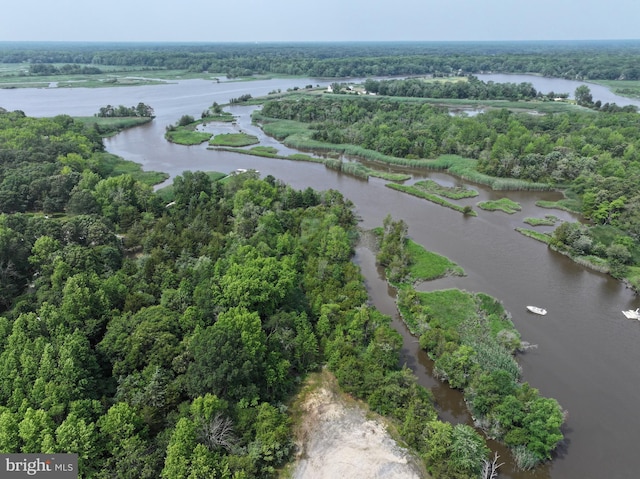 2 Schooner Landing Rd, Millville, NJ 08332 - bird's eye view of a nearby body of water and a heavily wooded area