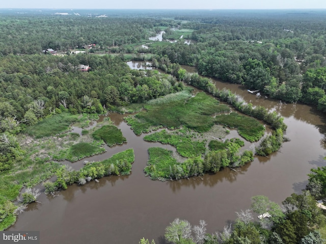 2 Schooner Landing Rd, Millville, NJ 08332 - aerial view of property and surrounding area with a heavily wooded area and a large body of water