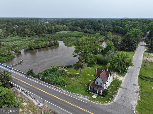 2 Schooner Landing Rd, Millville, NJ 08332 - drone / aerial view of a forest and a large body of water