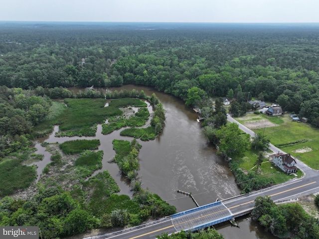 2 Schooner Landing Rd, Millville, NJ 08332 - aerial overview of property's location with a forest and a nearby body of water