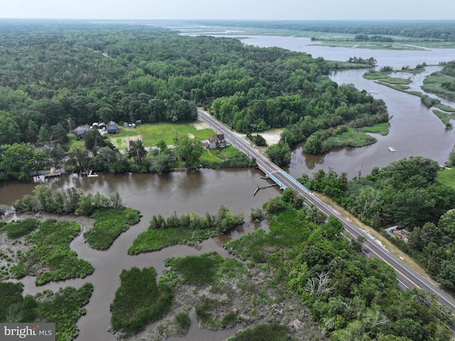 2 Schooner Landing Rd, Millville, NJ 08332 - aerial view of a heavily wooded area and a large body of water