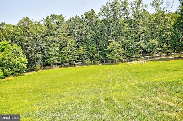 121 Sweetbriar Ln, Winchester, VA 22603 - view of yard