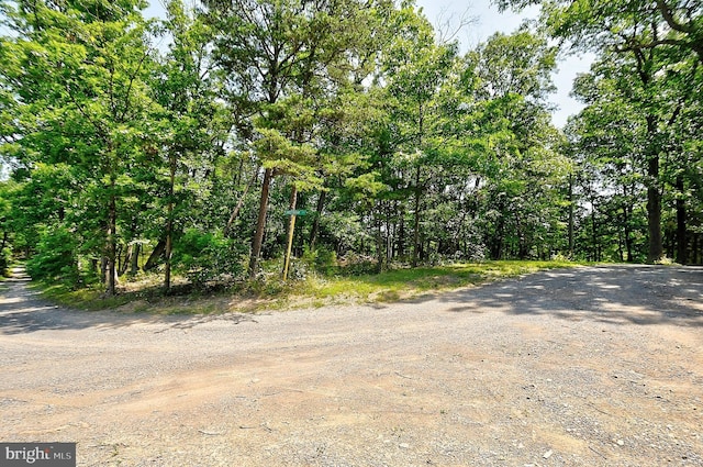 121 Sweetbriar Ln, Winchester, VA 22603 - view of dirt / gravel road